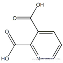 Quinolinic acid CAS 89-00-9